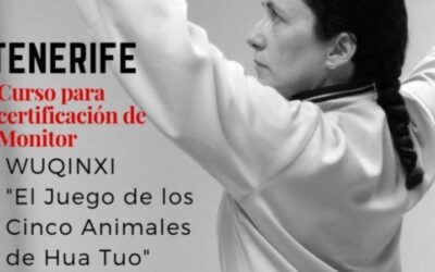 Curso Oficial de Formas de Chikung para la Salud (CHQA)