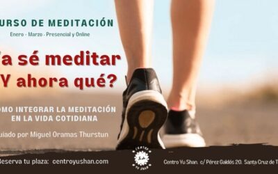 Ya sé meditar ¿Y ahora qué? 