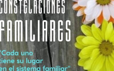 Las Constelaciones Familiares