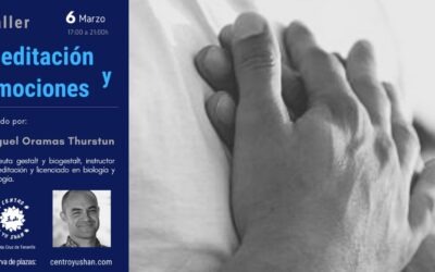 Meditación y Emociones
