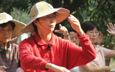 Estilos de Taichi Chuan