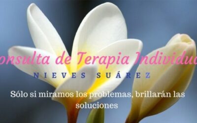 La Terapia Individual