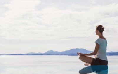 «Un apasionante viaje hacia una vida más consciente»