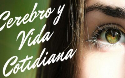 Taller Cerebro y Vida Cotidiana