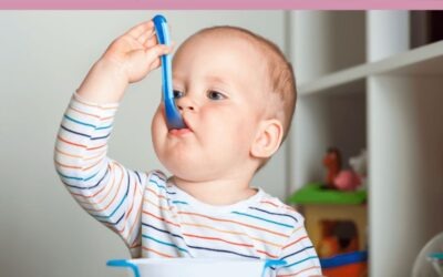 Iniciación a la alimentación complementaria