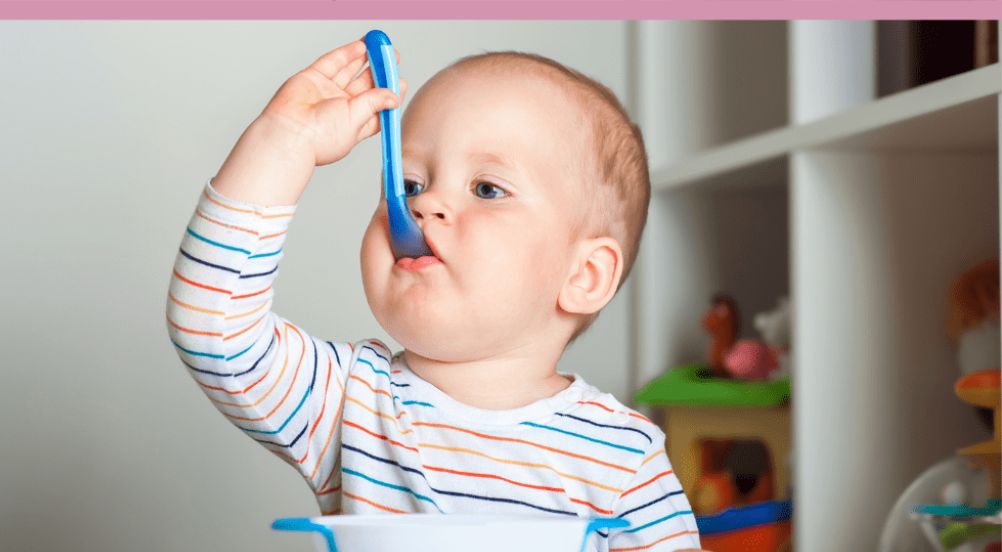 Iniciación a la alimentación complementaria